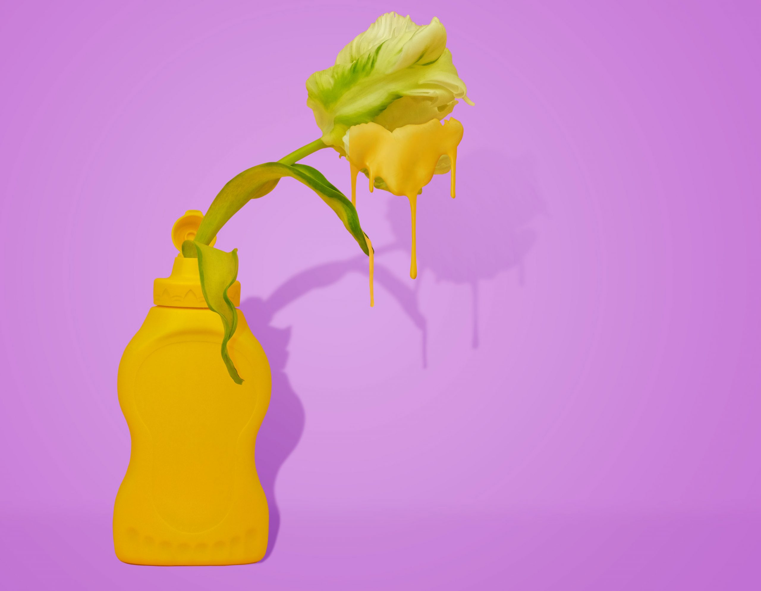 Mustard and ketchup stain removal
