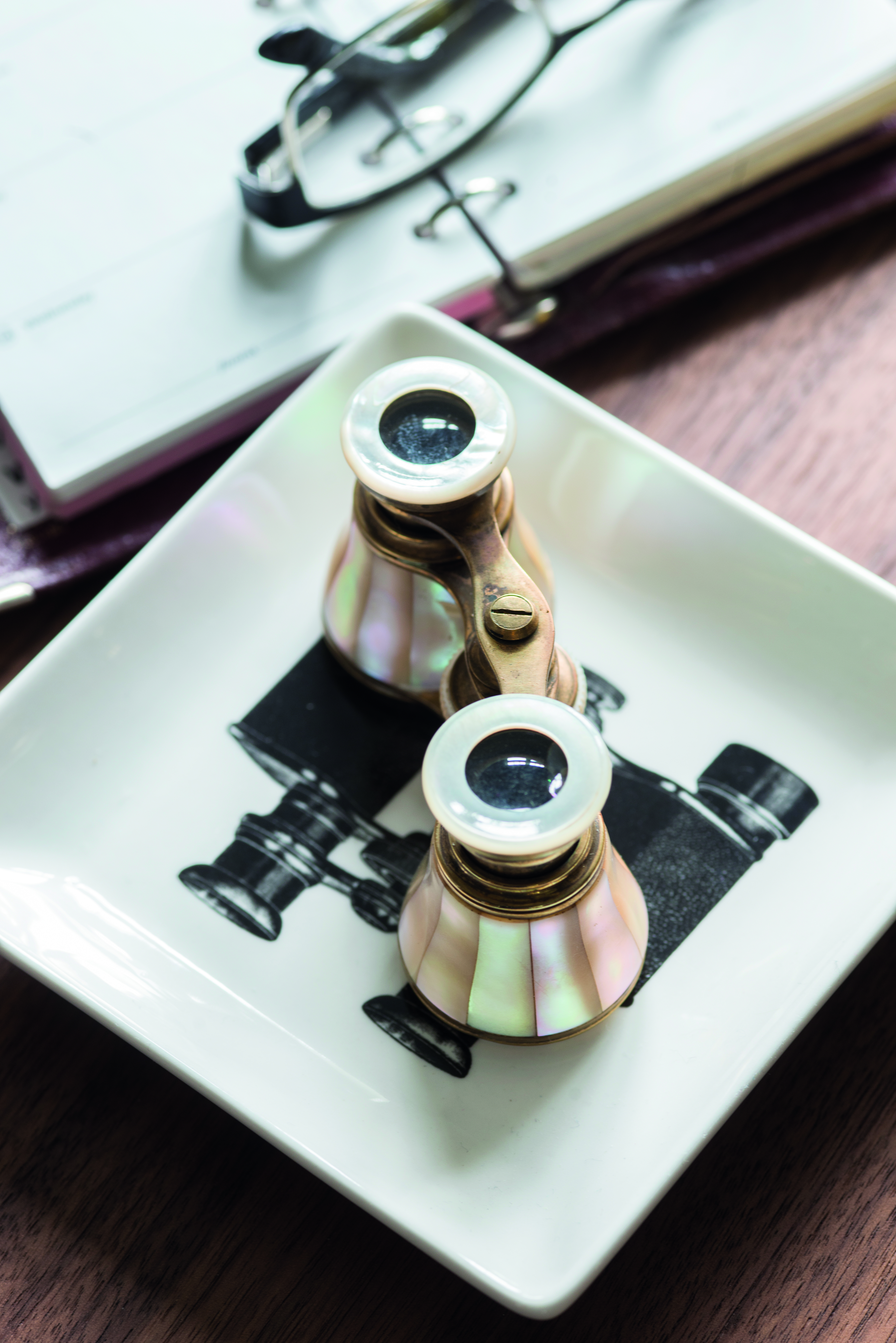 A much-loved pair of Edwardian opera glasses were the inspiration behind the room’s spectacular scheme A much-loved pair of Edwardian opera glasses were the inspiration behind the room’s spectacular scheme