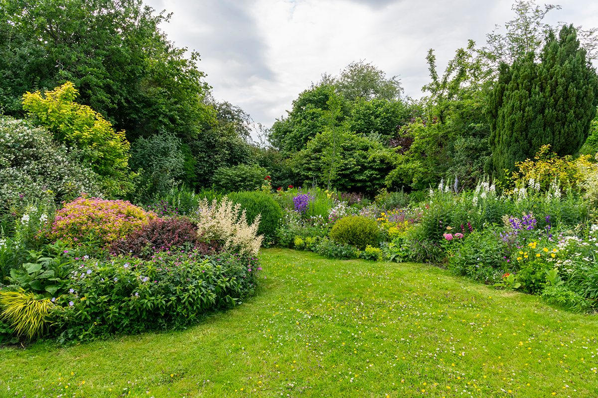 A manicured garden filled with plants and flowers