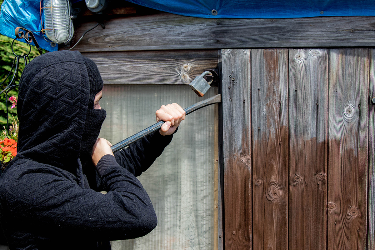 A person in a black jacket and mask is prying open the door of a wooden shed with a crowbar.