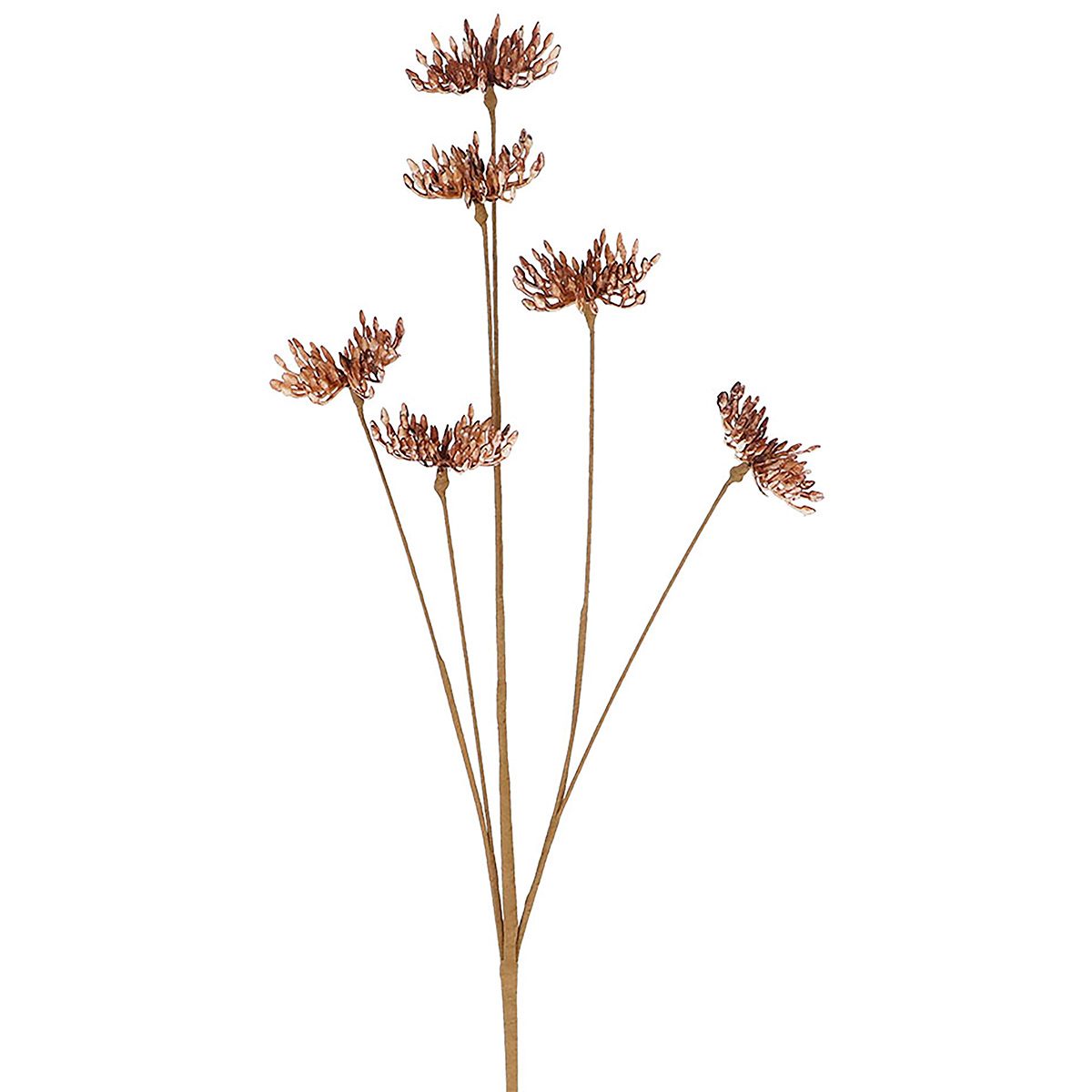Faux dried mini cow parsley