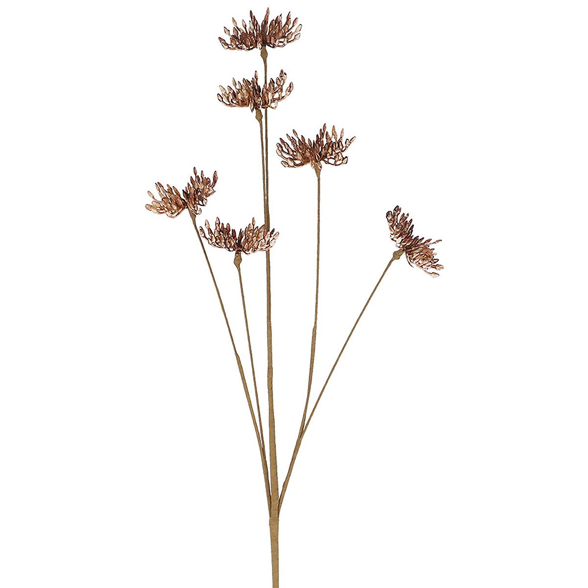 Faux dried mini cow parsley