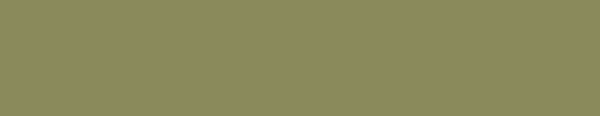 Dulux Sea Nettle