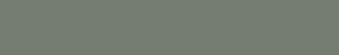 Farrow and Ball Green Smoke