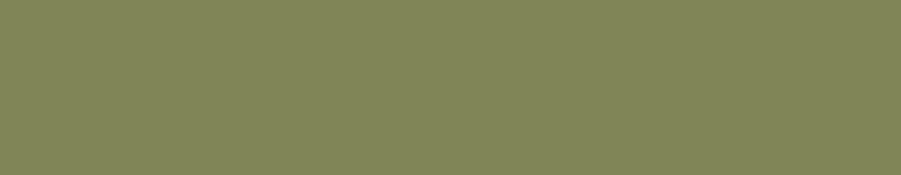 Farrow & Ball Sap Green