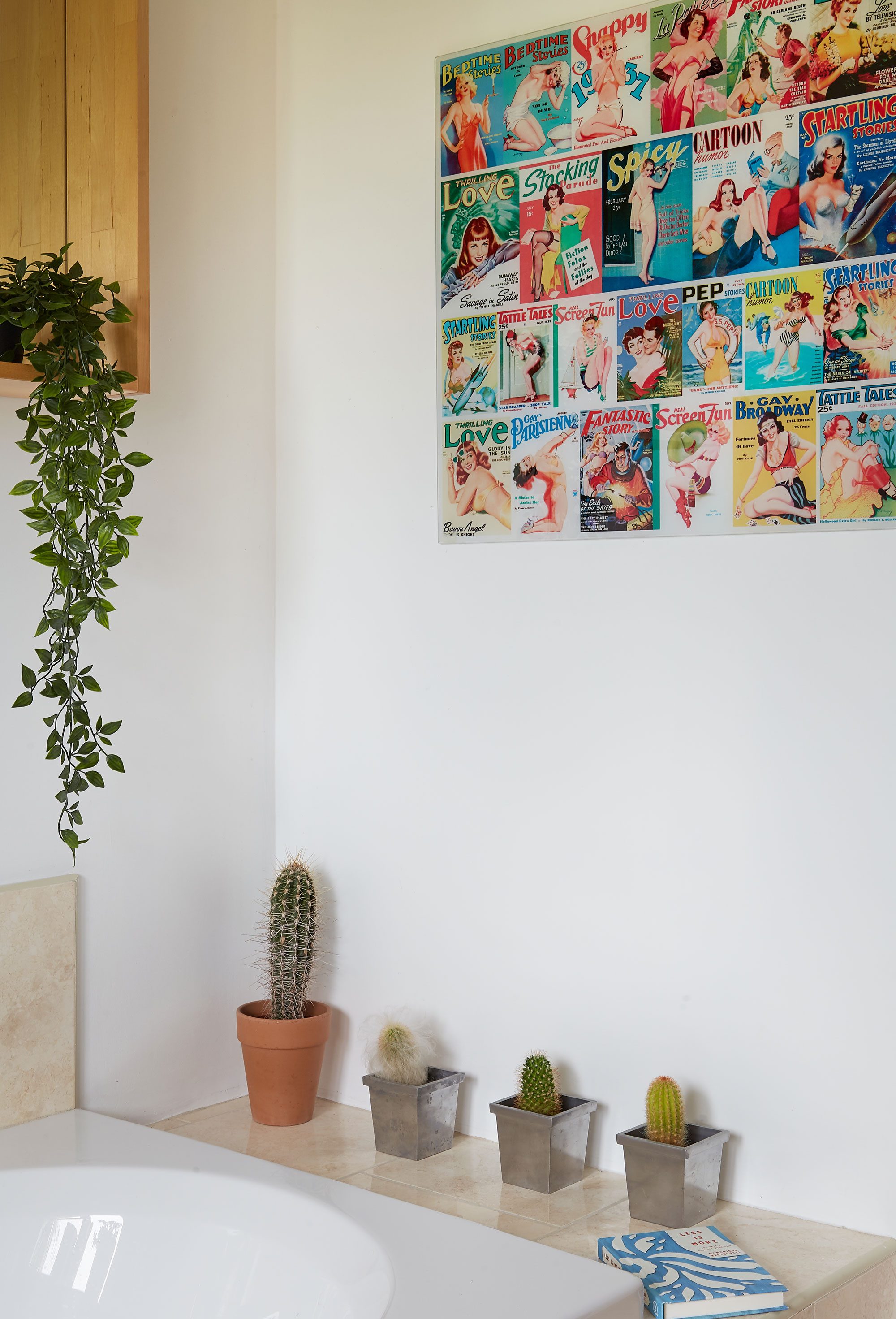Introduce some ultra-low- maintenance foliage into your bathroom with faux plants and real cacti.