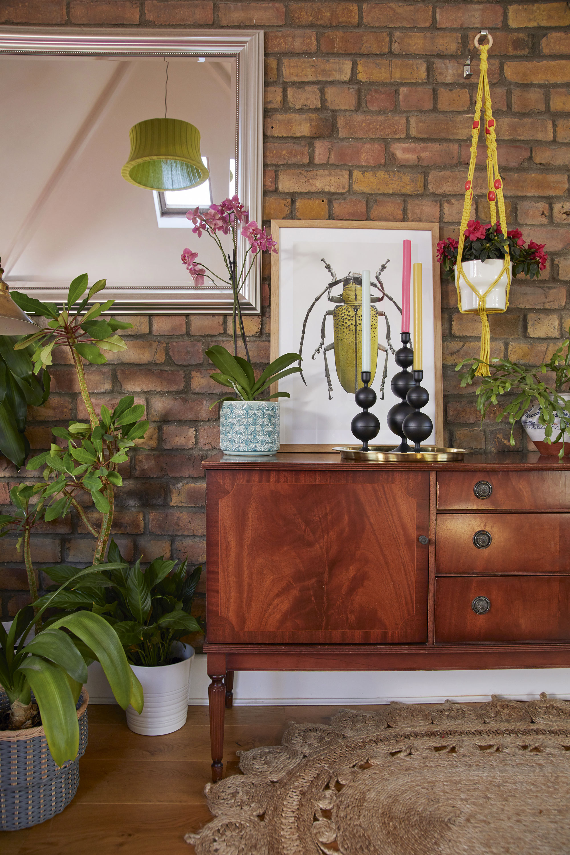 The pachira plant in the corner came from IKEA, and Emma sources her pots from charity shops and car-boot sales and displays them in her handmade macramé hangers Living room makeover: 'My multi-use room sings with colour'