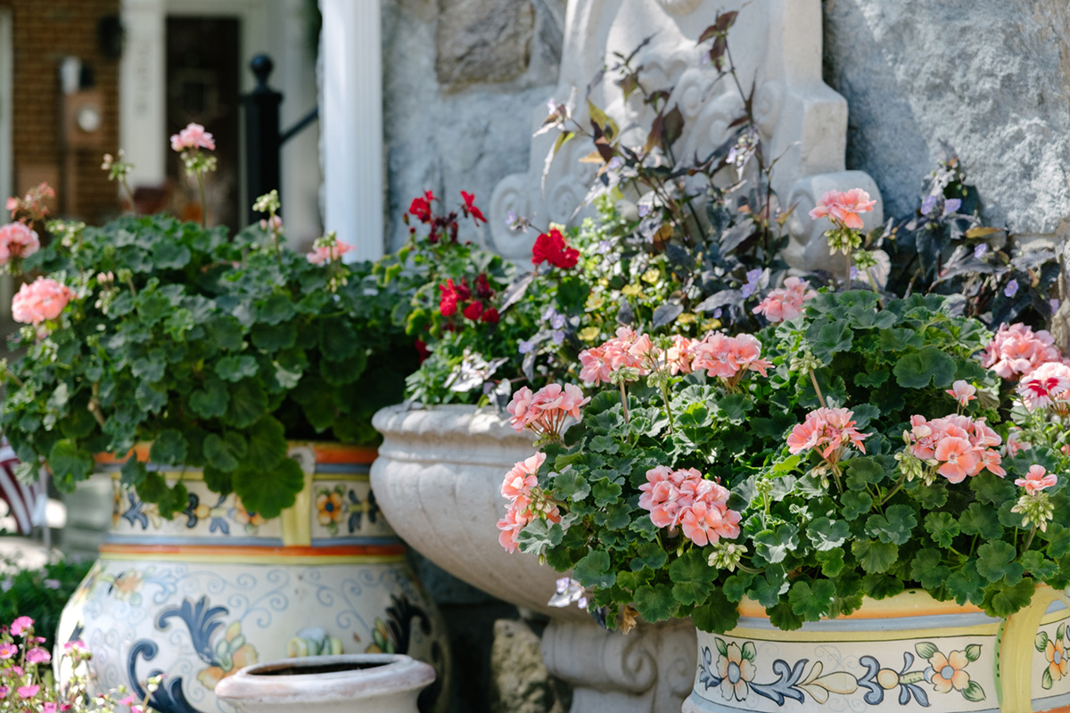 Close-up of assorted flower pots outside of house