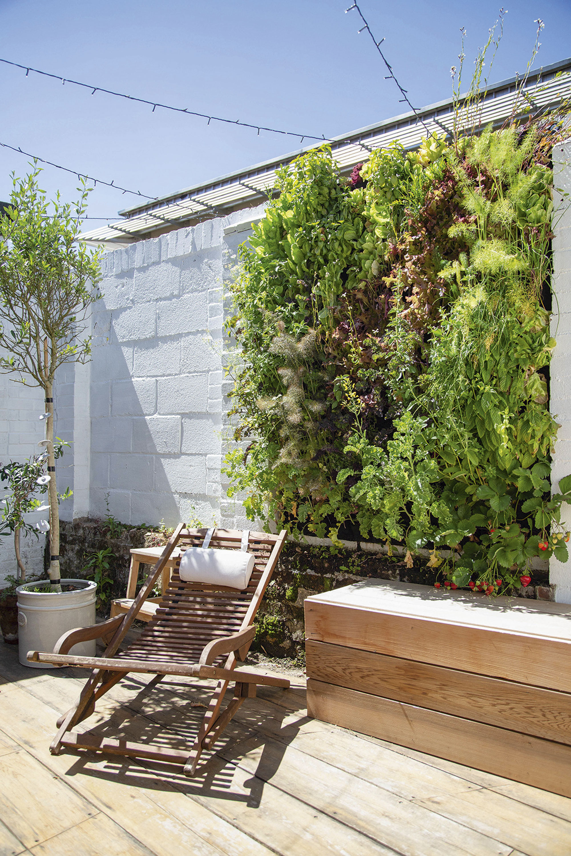 Though they halved the size of the garden for the extension, the couple gained an open-plan, outside-meets-inside area to relax in