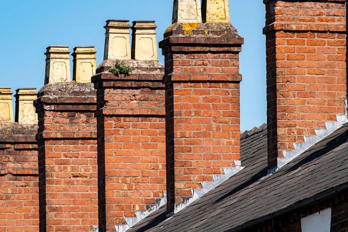 Find out what type of insect you have – honeybees, bumblebees and wasps have different nesting habits and need different methods of removal or care