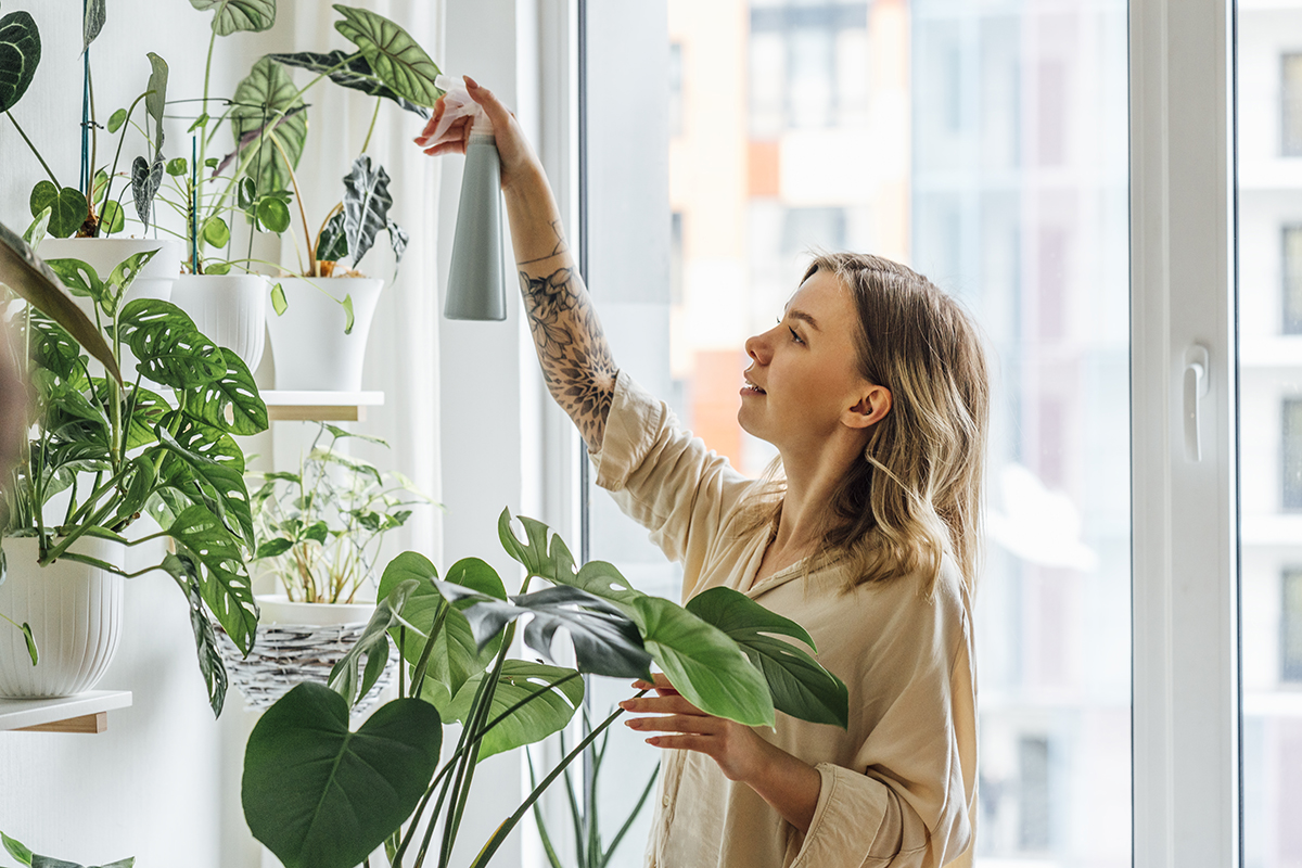 Woman watering her houseplants with a spray bottle