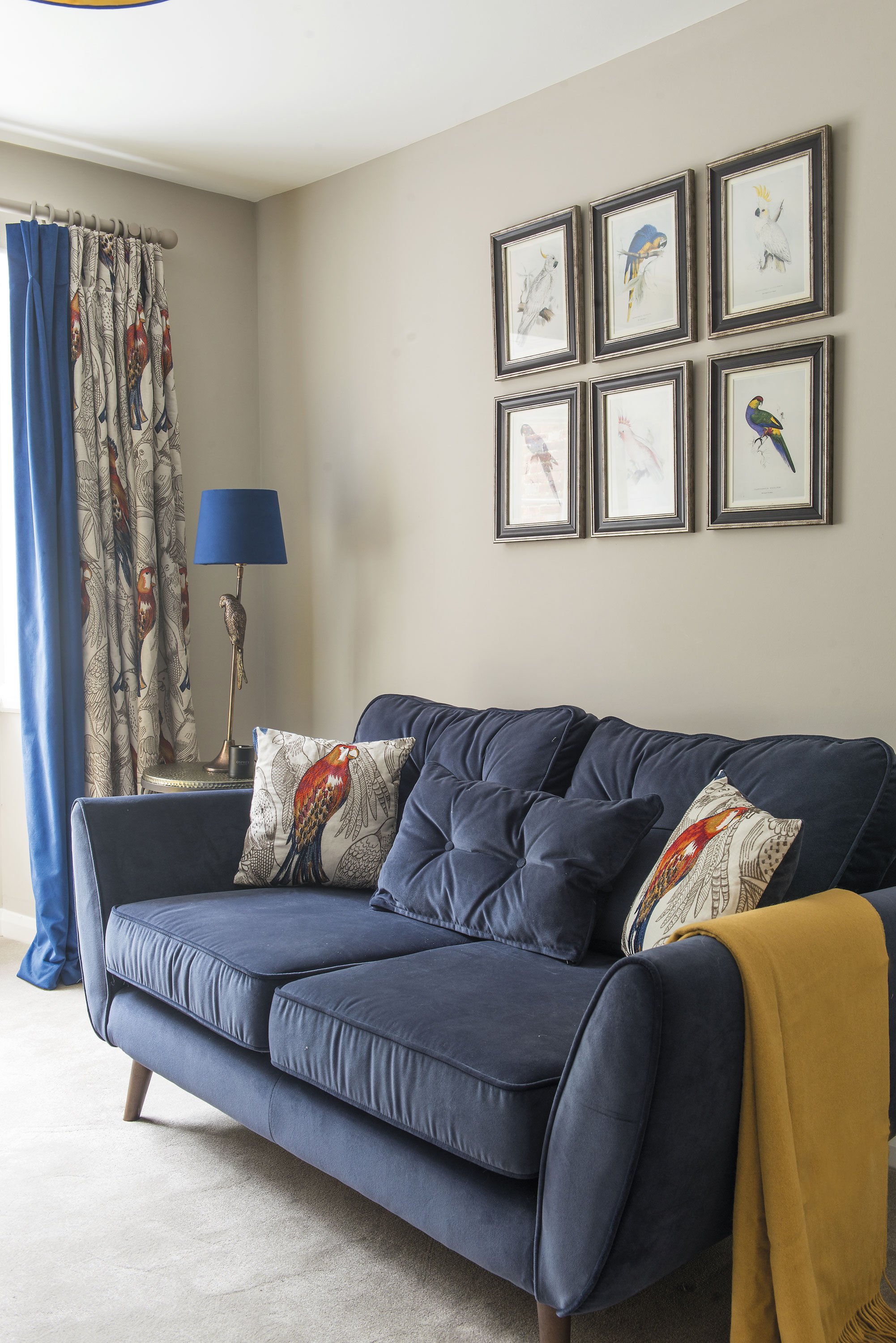 The couple decided on a Zinc blue velvet sofa from DFS for the snug and arranged their parrot prints above it. The wall is painted in Elephant’s Breath by Farrow & Ball The couple decided on a Zinc blue velvet sofa from DFS for the snug and arranged their parrot prints above it. The wall is painted in Elephant’s Breath by Farrow & Ball